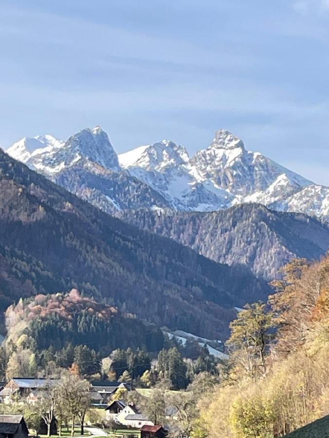 Ferienhaus Shaeuserl Landl  エクステリア 写真